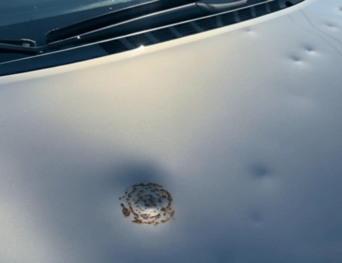 Avant rénovation optique